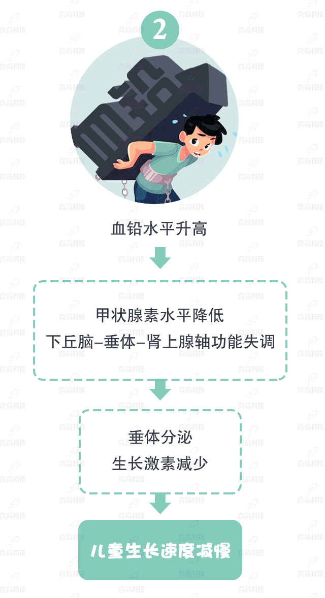 大“鉛”世界，別讓它阻礙了孩子的身高_(dá)09.gif