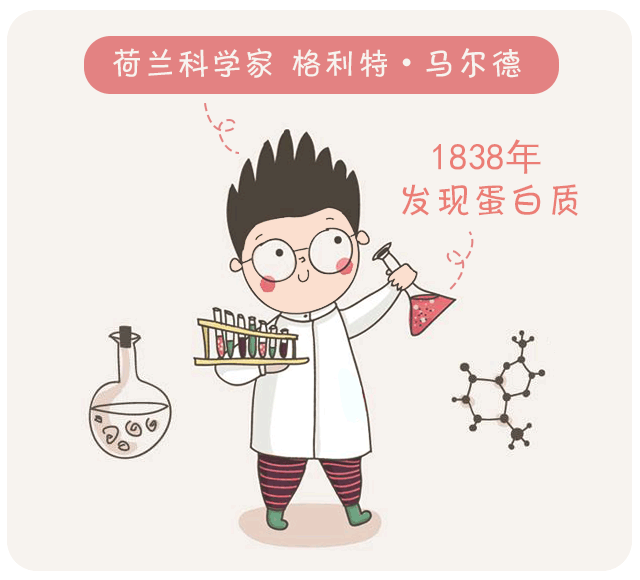 蛋白質(zhì)，為孩子長高添動力！_01.gif