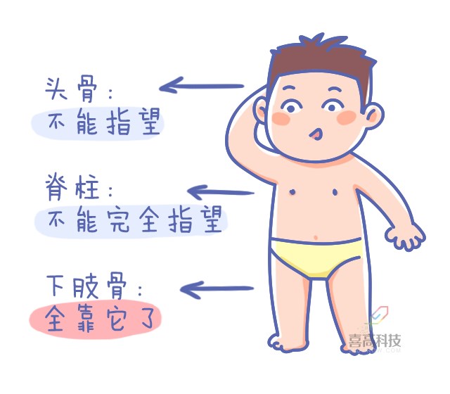 重啟骨骺線~你看起來很誘人！_08.png