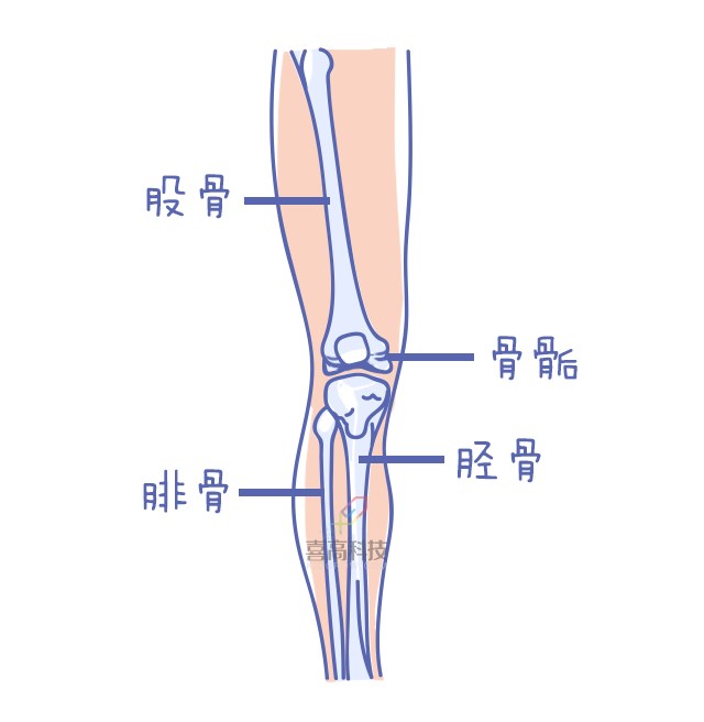 重啟骨骺線~你看起來很誘人！_10.png