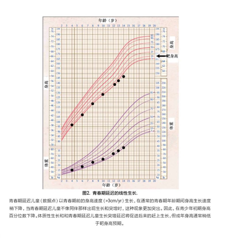 圖2.jpg