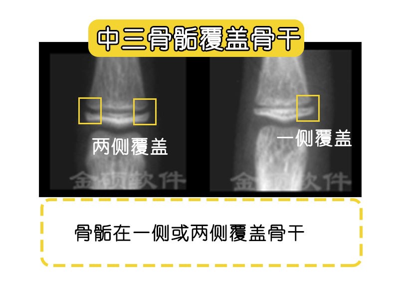 論文改寫插圖_04.jpg