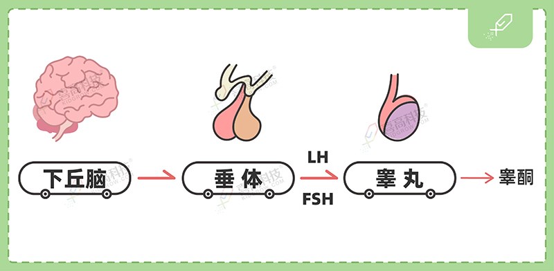 1_畫板 1 副本.jpg