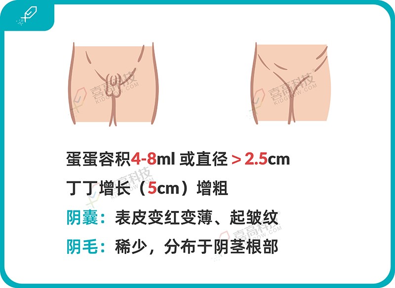 1_畫板 1 副本 11.jpg