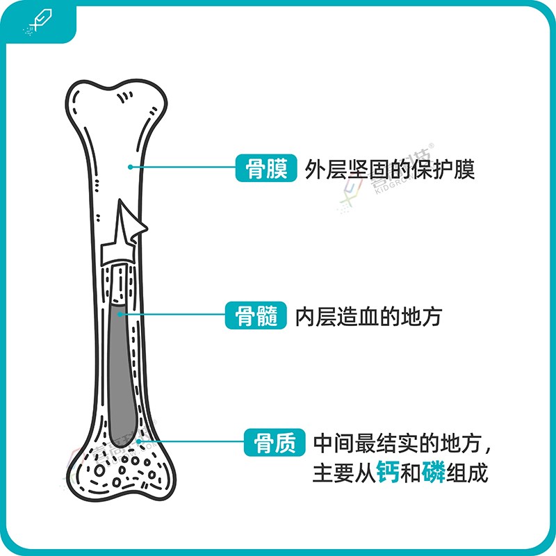 1_畫板 1 副本.jpg